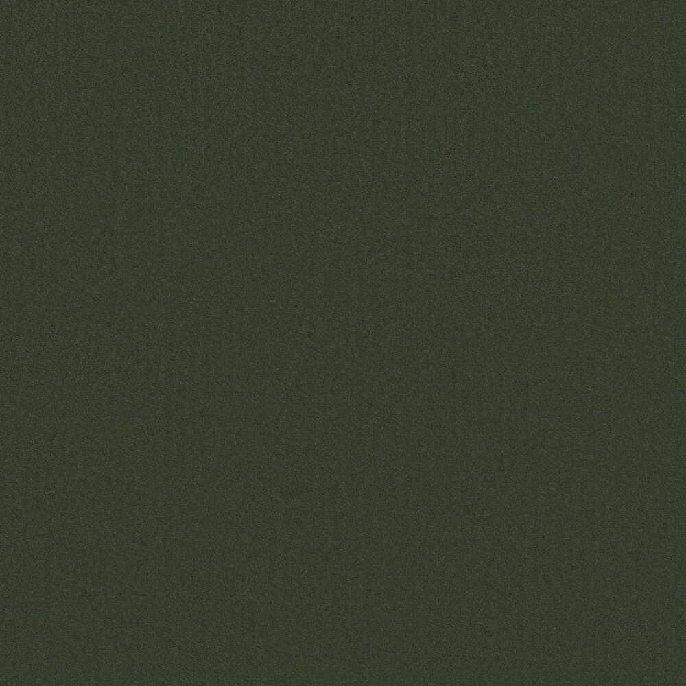 Anderson Tuftex Finery Carpet in Palm Leaf, , large
