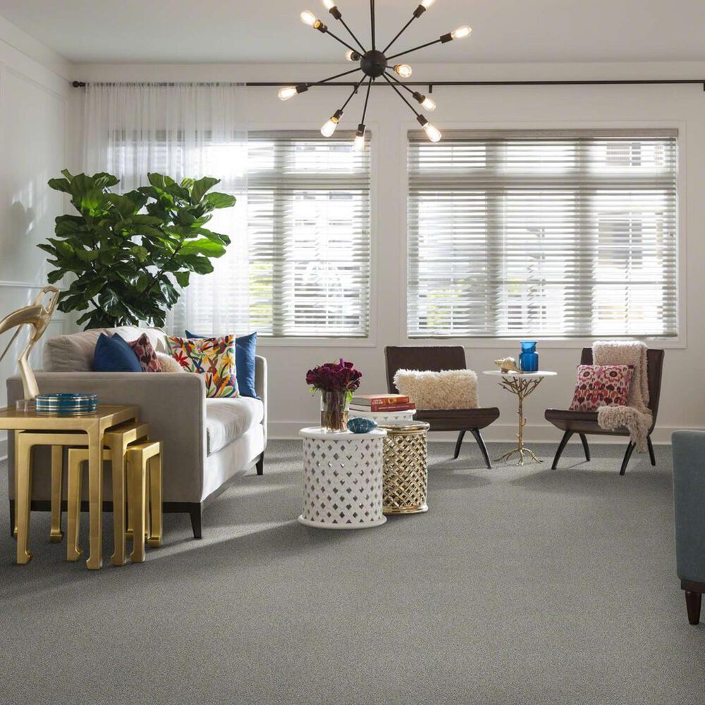 Anderson Tuftex Acadia Park Carpet in Classic Stone, , large
