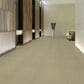 Shaw Counterpart 24" x 24" Carpet Tile in Copy Cat, , large