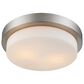 Golden Lighting Multi-Family Flush Mount in Pewter, , large