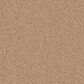 Anderson Tuftex Finery Carpet in Baked Beige, , large