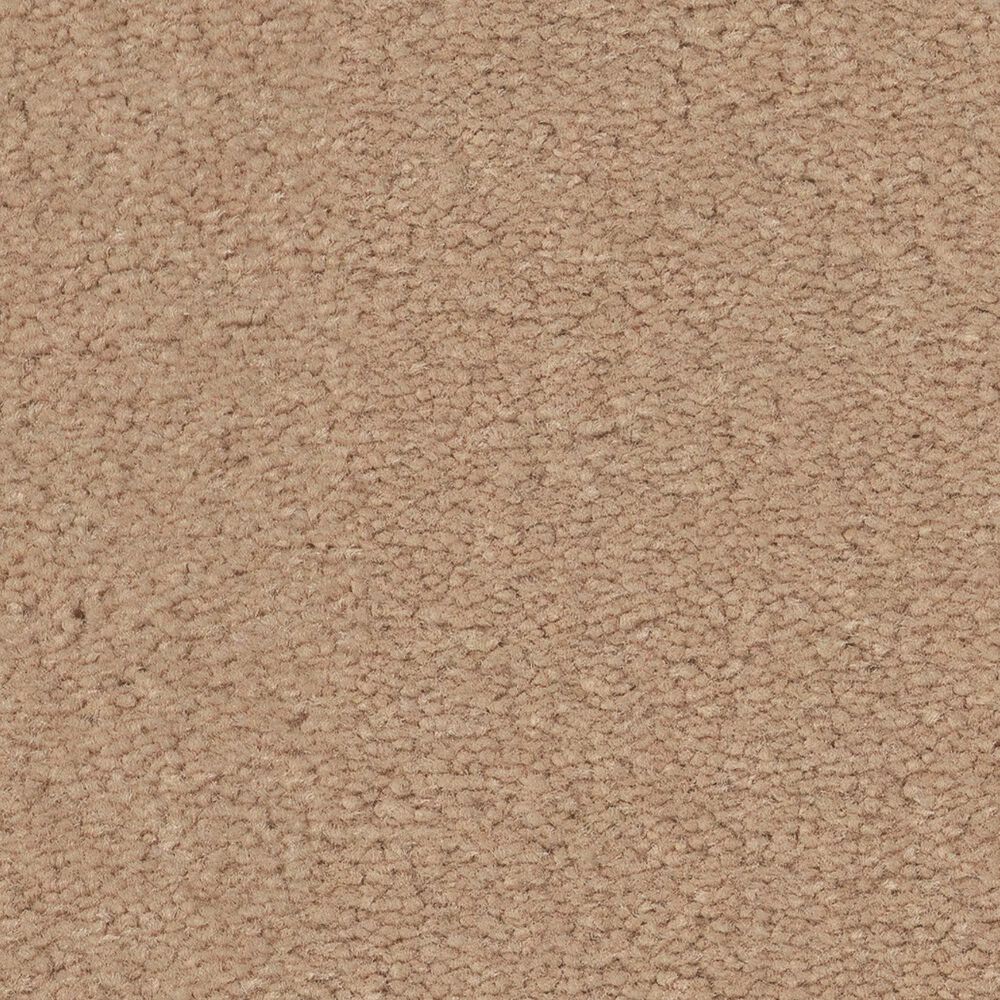 Anderson Tuftex Finery Carpet in Baked Beige, , large