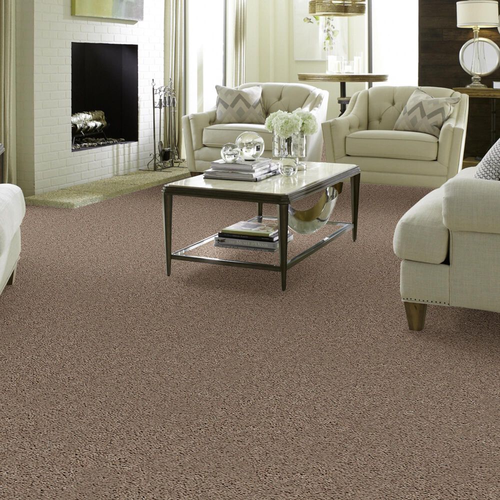 Shaw Break Away Solid Carpet in Clay, , large