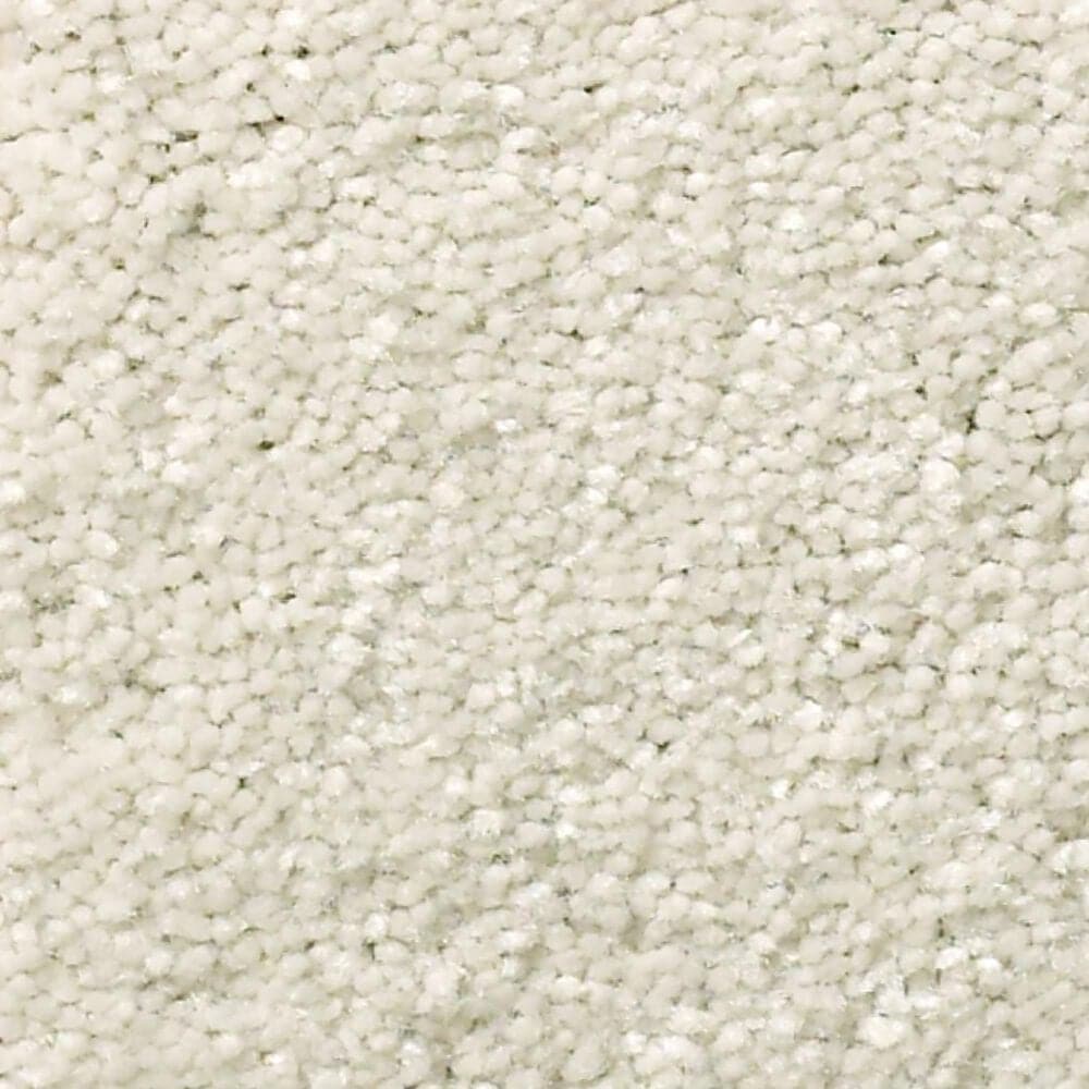 Shaw Well Grounded III 12" Carpet in Minimalist, , large