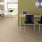Anderson Tuftex Caress Tranquil Waters Carpet in Sahara, , large