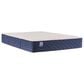 Sealy Safa Park Firm Twin Mattress with Low Profile Box Spring, , large