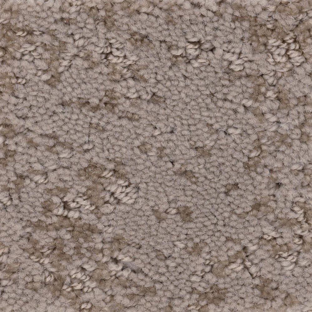 Anderson Tuftex Caress  Artistic Presence Carpet in Tumbleweed, , large