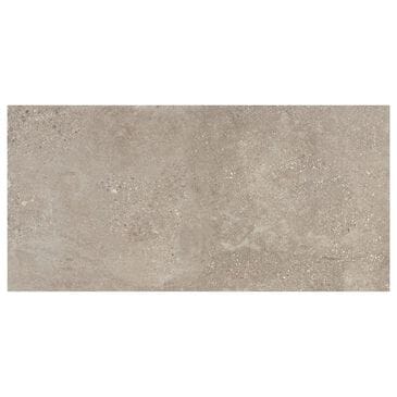 Dal-Tile Museo Natural Grey 12" x 24" Porcelain Tile, , large