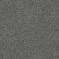 Dream Weaver Silver Lining II Carpet in Storm, , large