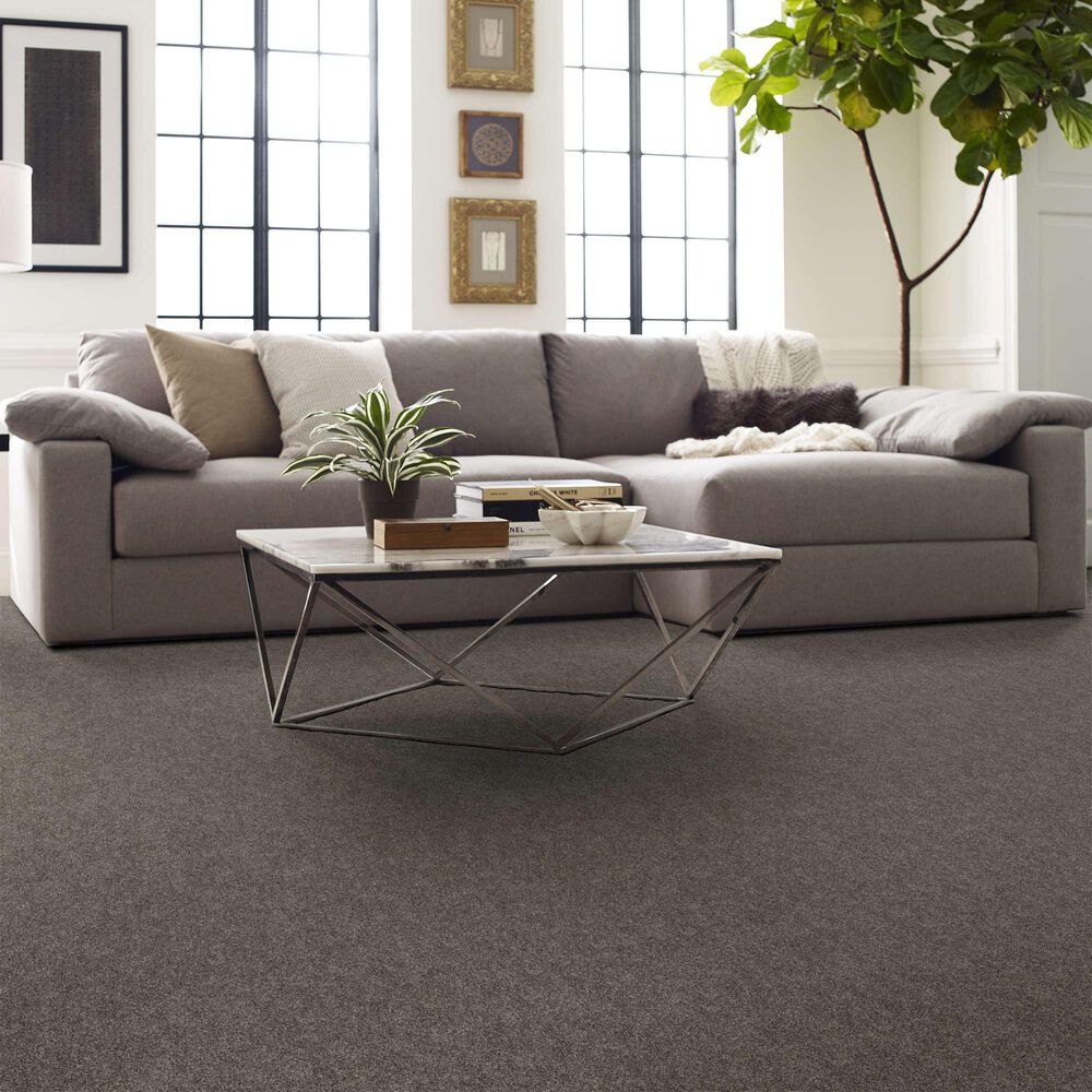 Shaw Grand Outlook Carpet in Worn Path, , large