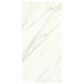 Dal-Tile Florentine Carrara 12" x 24" Polished Ceramic Tile, , large