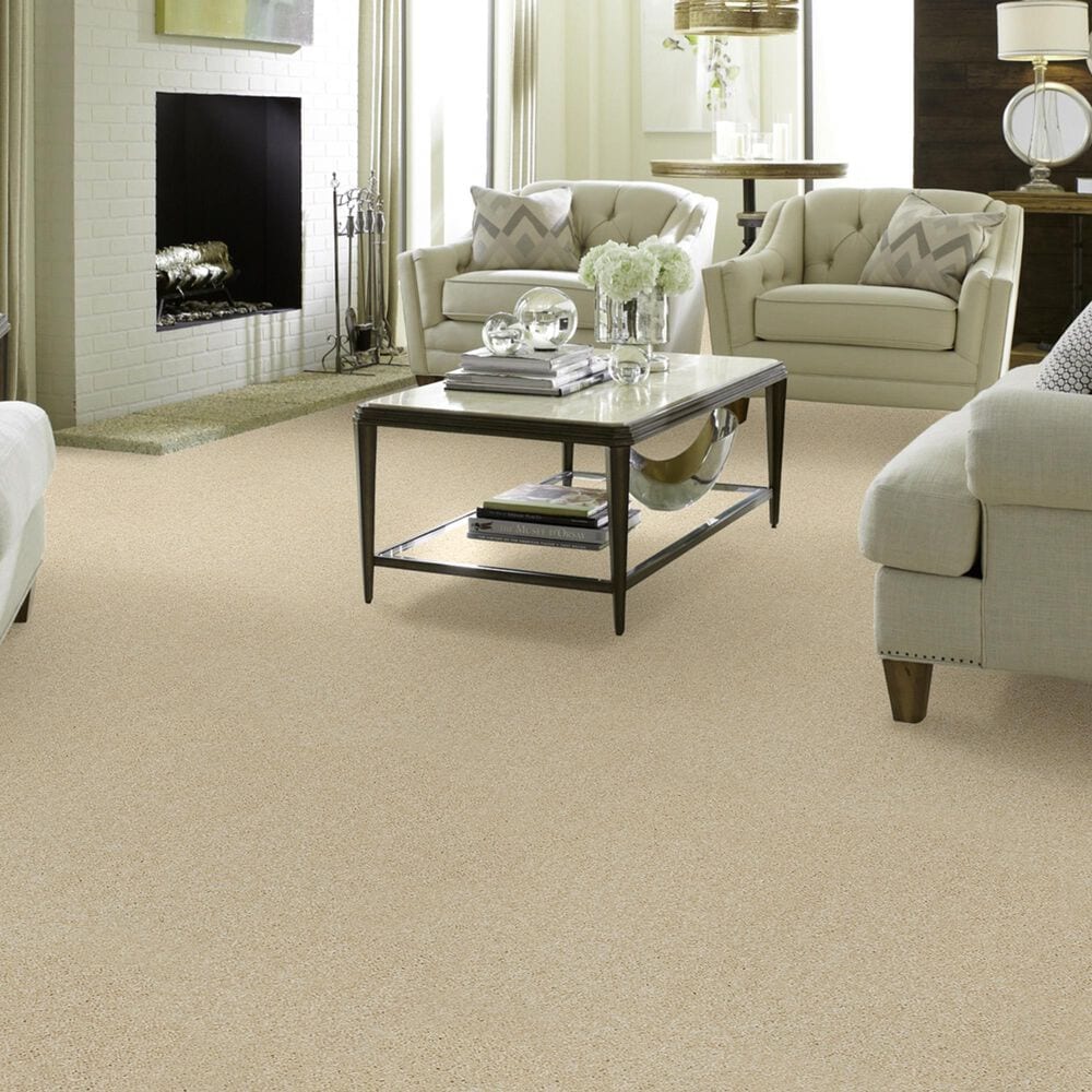 Shaw Foundations Take The Floor Texture II Carpet in Restoration, , large