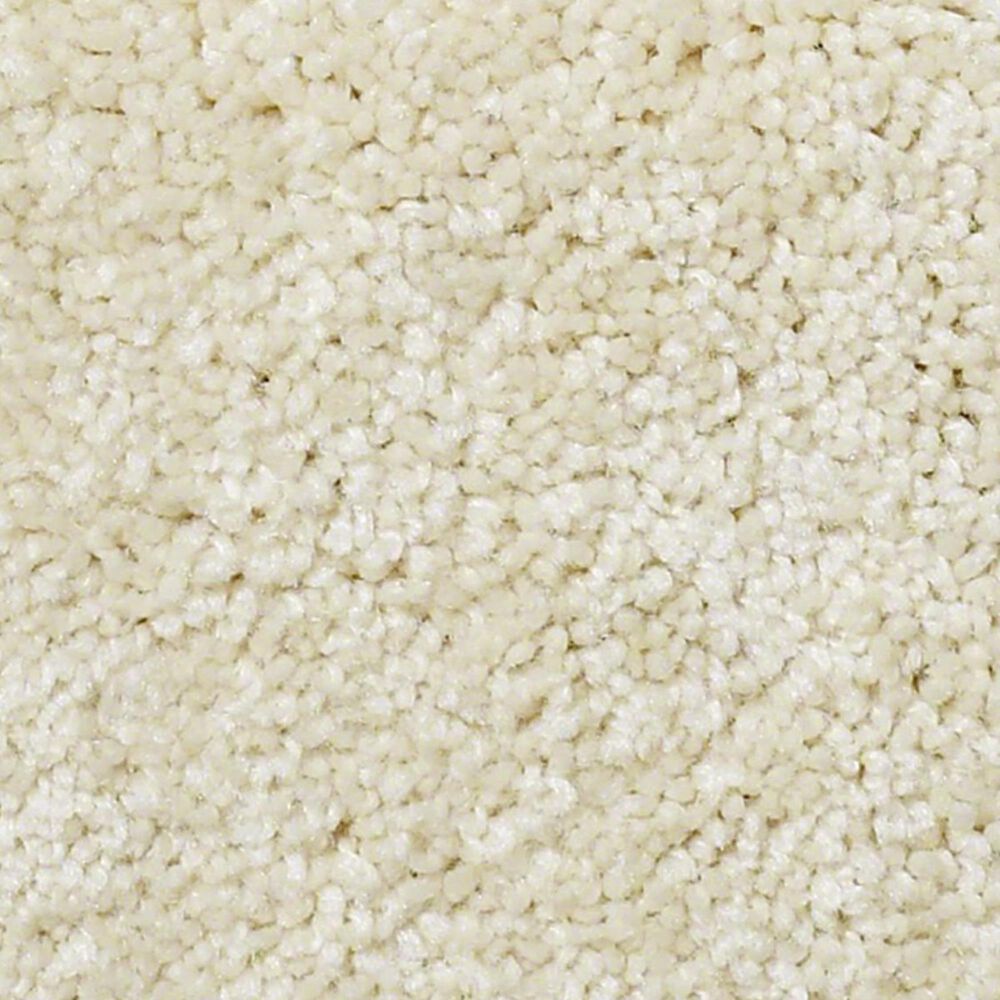 Anderson Tuftex Pawparazzi I Carpet in Antiquity, , large