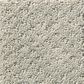 Shaw Foundations Infallible Instinct Carpet in Silhouette, , large