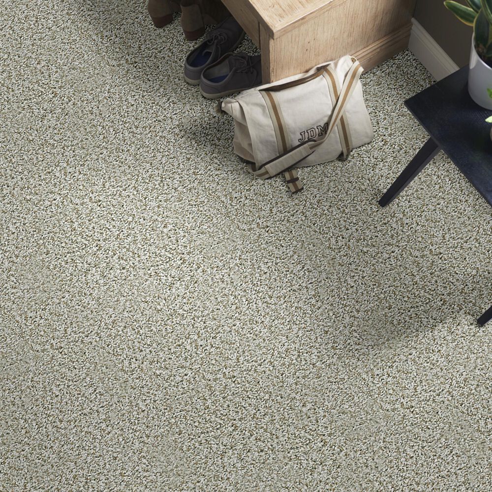Shaw Break Away Tonal Carpet in Snow Peak, , large