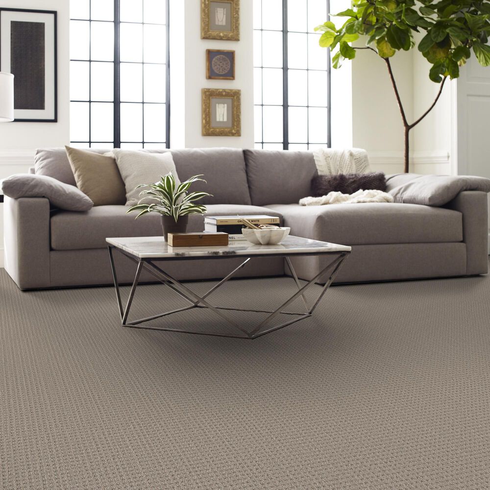 Shaw Finely Detailed Carpet in Natural Sisal, , large