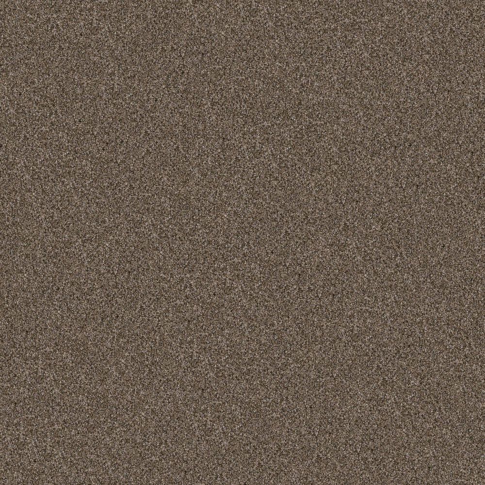 Shaw Yes You Can II Carpet in Mission Ridge, , large