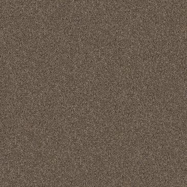 Shaw Yes You Can II Carpet in Mission Ridge, , large