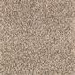 Mohawk Nature"s Elegance Carpet in Desert Scene Carpet in Desert Scene, , large