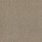 Dream Weaver Natural Attraction Carpet in Regal, , large