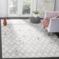 Safavieh Adirondack ADR131C 3" x 5" Light Grey and Grey Area Rug, , large