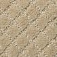 Anderson Tuftex Off Leash Carpet in Monterey, , large