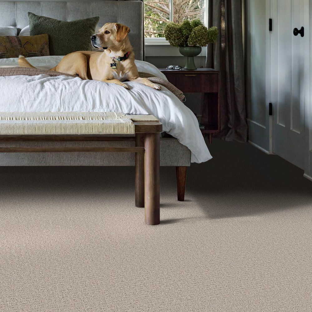 Shaw Secret Journey Carpet in Chic Taupe, , large
