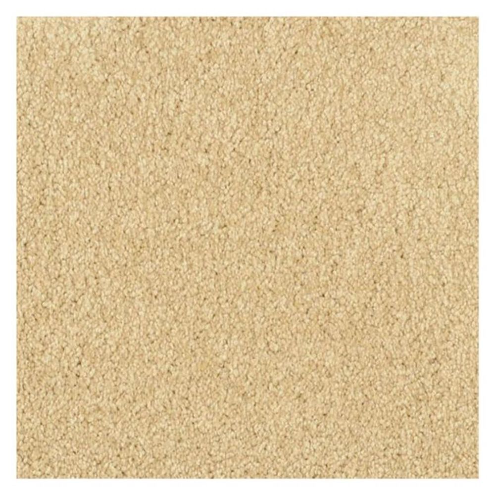 Masland Carpets Inc Miami Carpet in Honey Harbor, , large