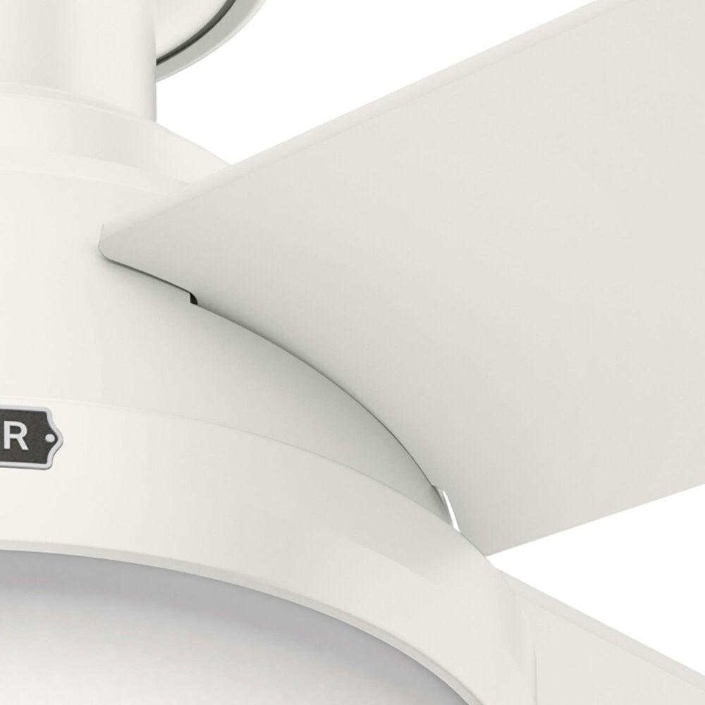 Hunter Dempsey Low Profile 52&quot; Ceiling Fan with Lights in Fresh White, , large