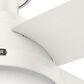Hunter Dempsey Low Profile 52" Ceiling Fan with Lights in Fresh White, , large