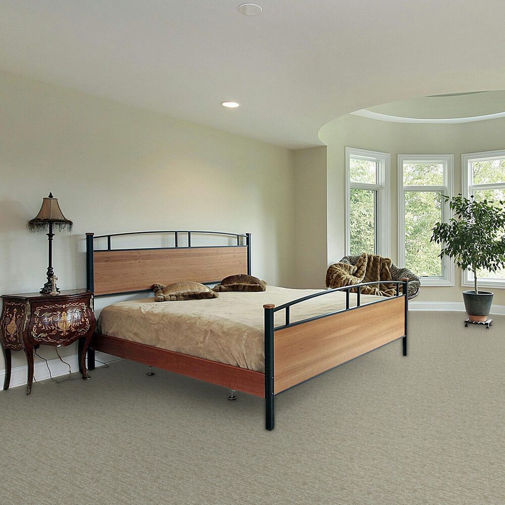 Dream Weaver Valter Carpet in Prairie Grove, , large