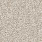 Shaw You Got This I Carpet in Warm Light, , large