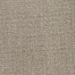 Masland Offspring Carpet in Rebarkable, , large