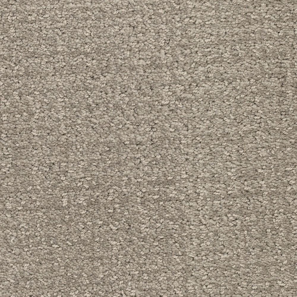Masland Offspring Carpet in Rebarkable, , large