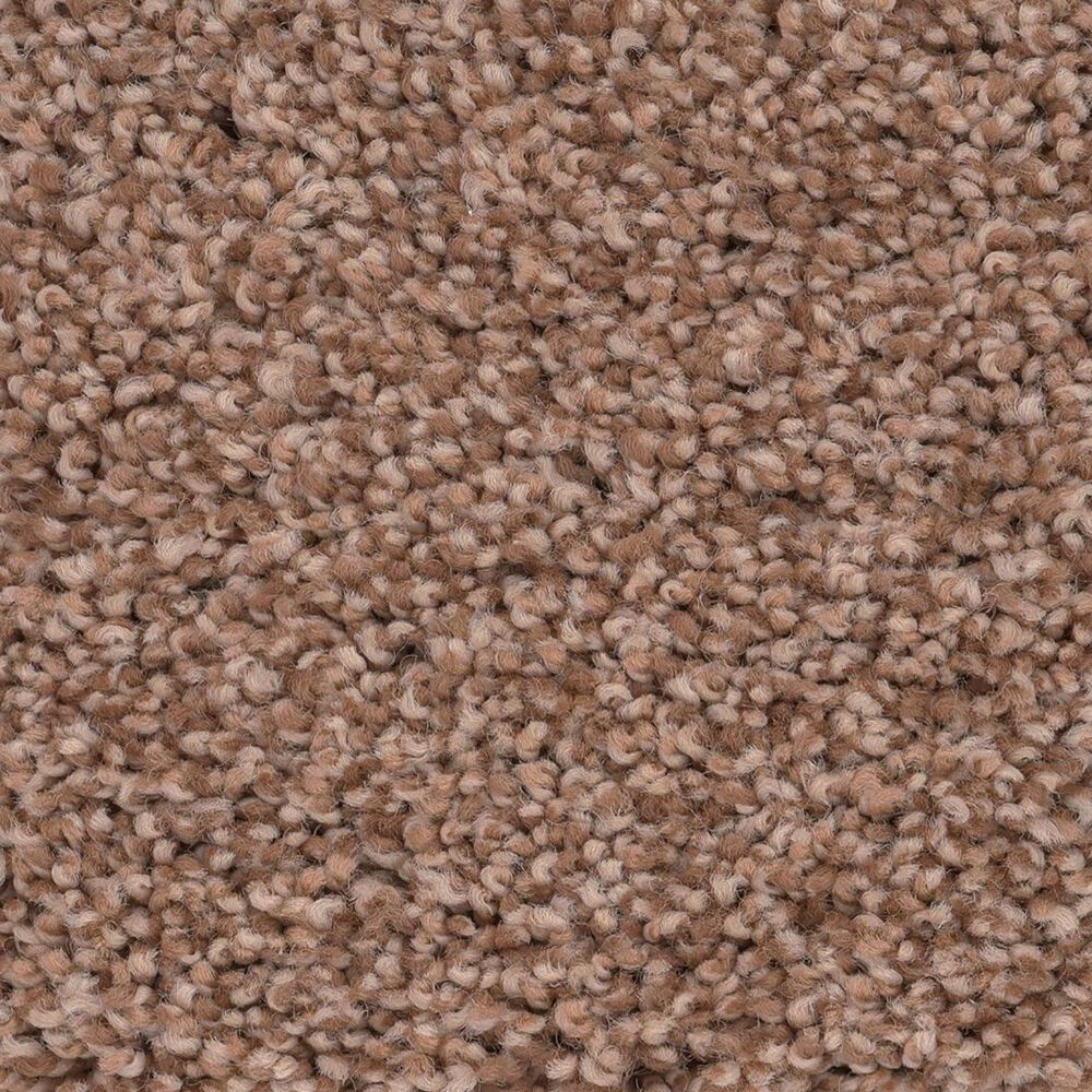 Anderson Tuftex Caress Cozy Harbor II Carpet in Sunbaked, , large