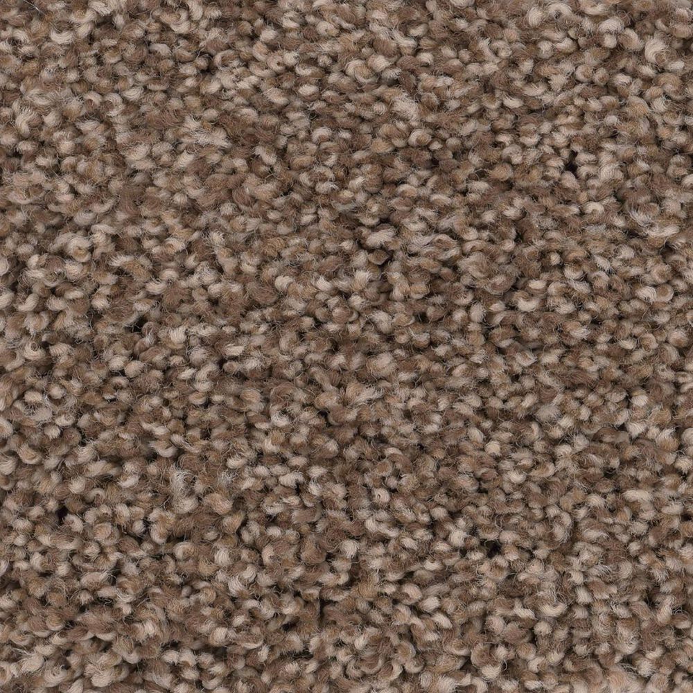 Anderson Tuftex Caress Cozy Harbor II Carpet in Raw Wood, , large