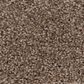 Anderson Tuftex Caress Cozy Harbor II Carpet in Raw Wood, , large