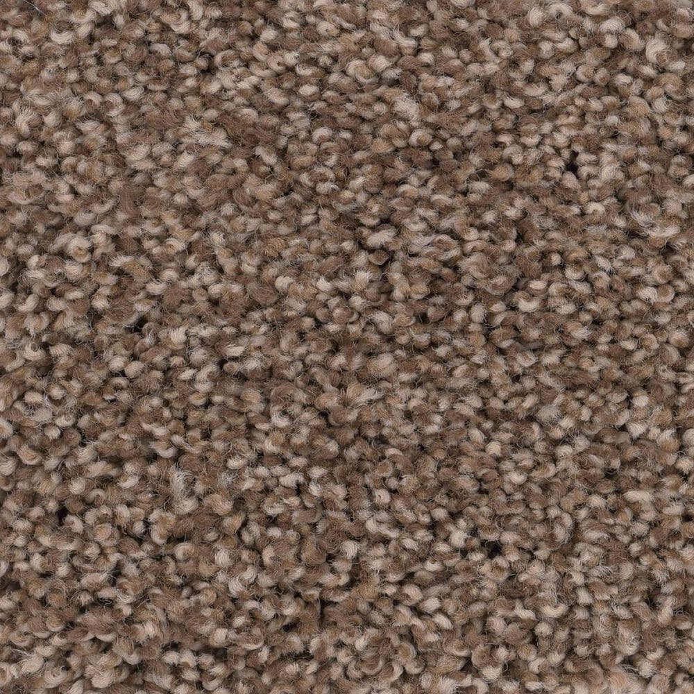 Anderson Tuftex Caress Cozy Harbor II Carpet in Raw Wood, , large