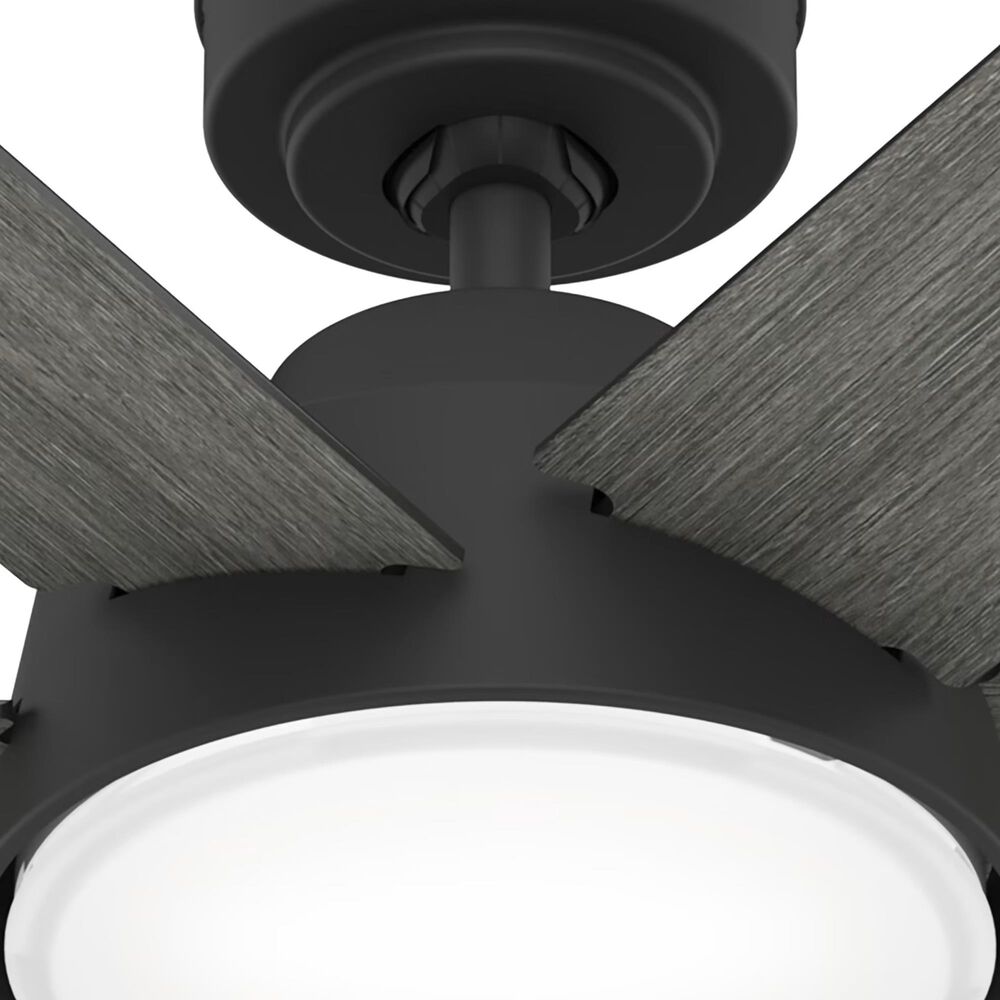 Hunter Donatella 52&quot; Ceiling Fan with LED Lights in Matte Black, , large