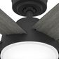 Hunter Donatella 52" Ceiling Fan with LED Lights in Matte Black, , large