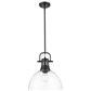 Golden Lighting Duncan 1-Light Pendant with Rod and Clear Shade in Matte Black, , large