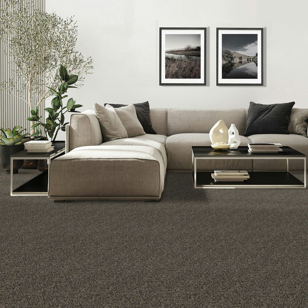 Mohawk Diffurent Choice II Carpet in Dark Hour, , large