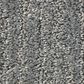 Shaw Simply the Best Big Easy Carpet in Deck, , large