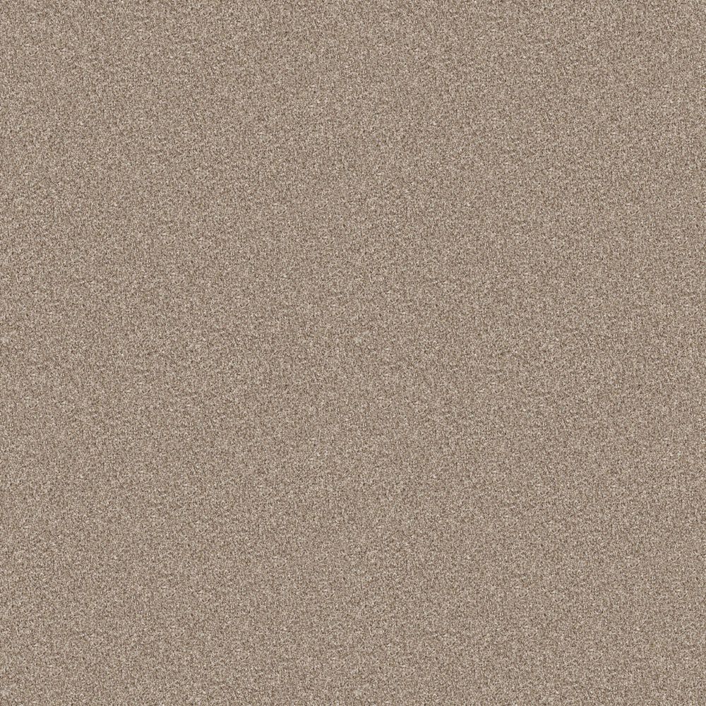 Philadelphia Influencer Carpet in Sun Kissed, , large