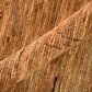 Amer Rugs Anna 2" x 3" Rust and Orange Area Rug, , large