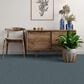 Dixie Home Tributary Carpet in Adonis, , large