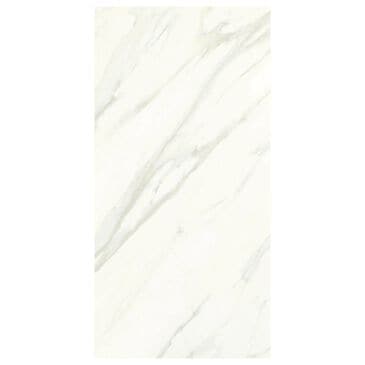 Dal-Tile Florentine Carrara 12" x 24" Matte Ceramic Tile, , large