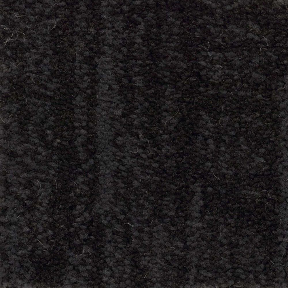 Anderson Tuftex Insightful Journey Carpet in Wrought Iron, , large