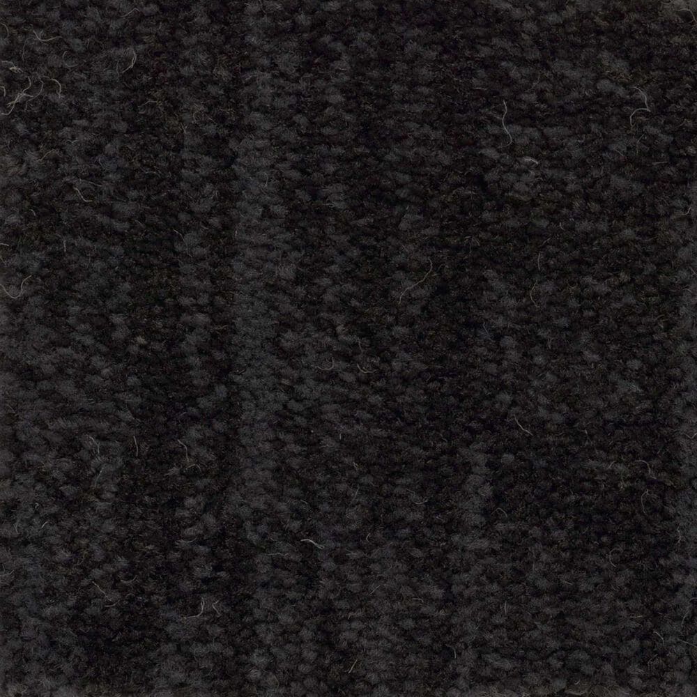 Anderson Tuftex Insightful Journey Carpet in Wrought Iron, , large