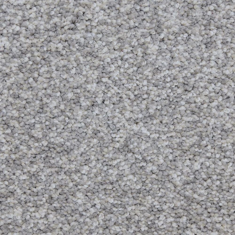 Dixie Home Simplicity Carpet in Casual, , large